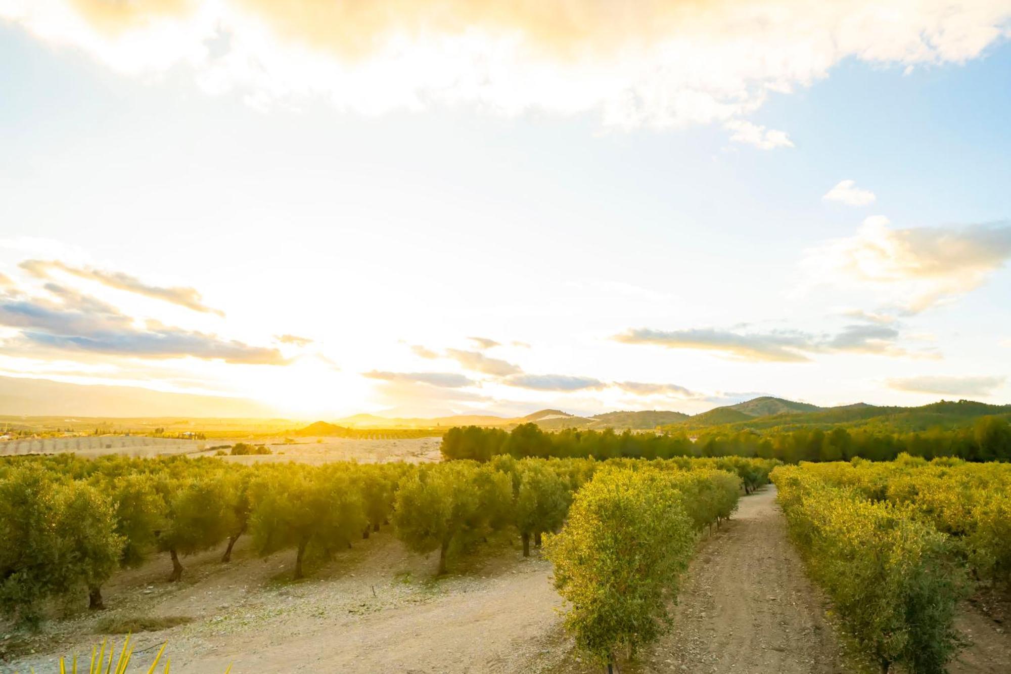 Finca El Espilo Lucar Eksteriør bilde