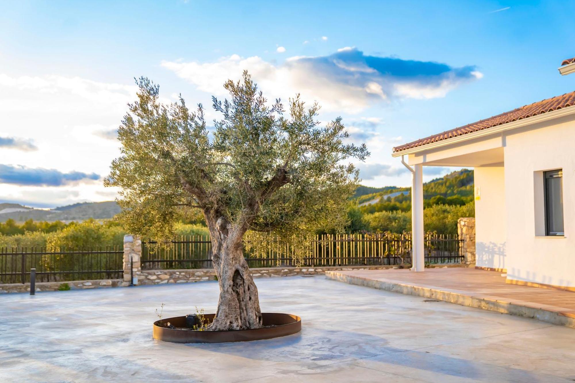 Finca El Espilo Lucar Eksteriør bilde