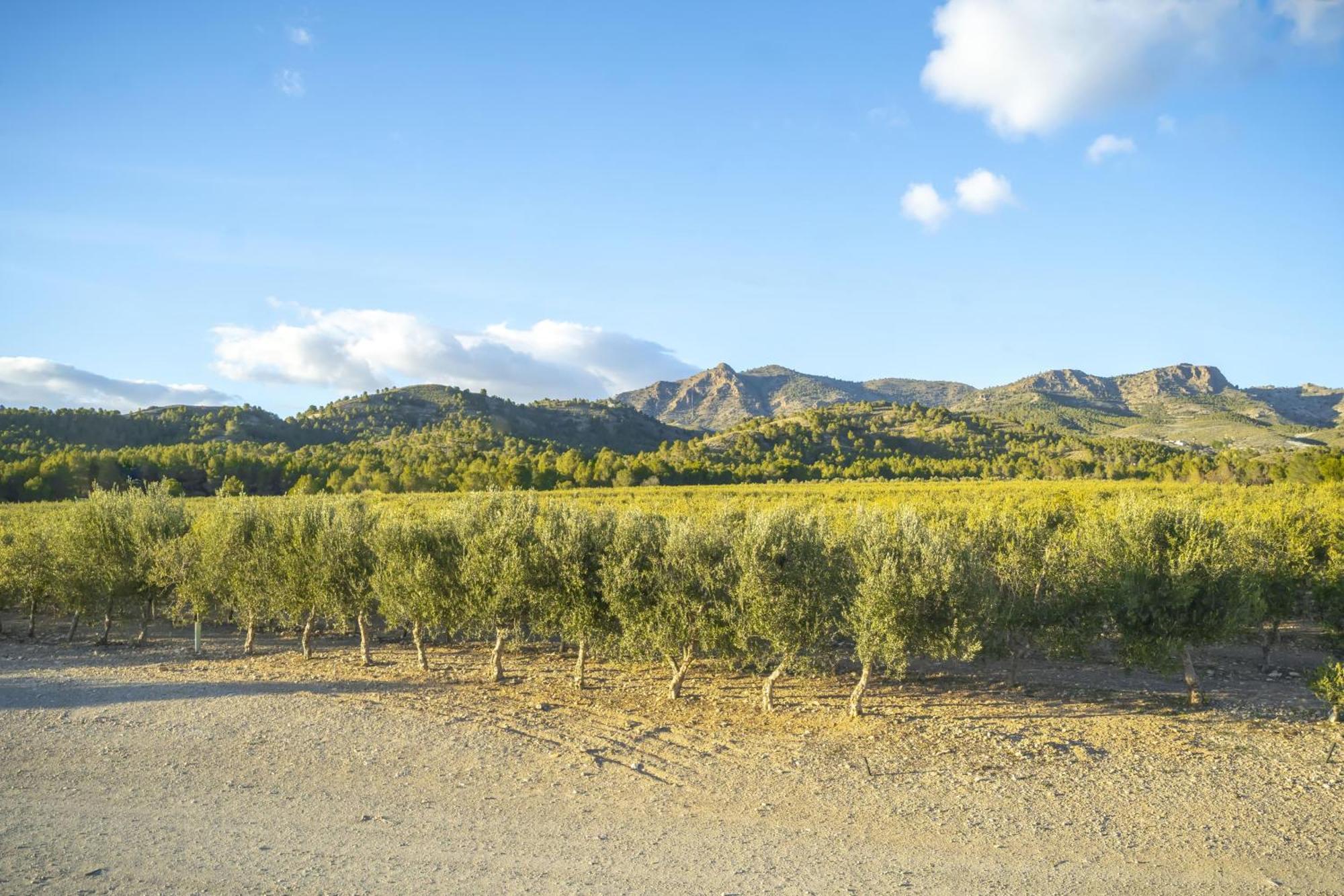 Finca El Espilo Lucar Eksteriør bilde